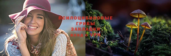 мяу мяу мука Абаза