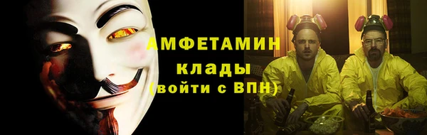 метадон Алексин