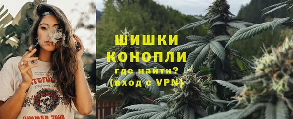 метадон Алексин