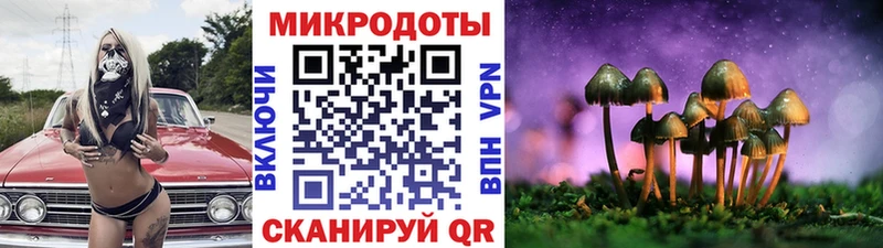 ссылка на мегу как зайти  цена наркотик  Пыталово  Галлюциногенные грибы Psilocybine cubensis 
